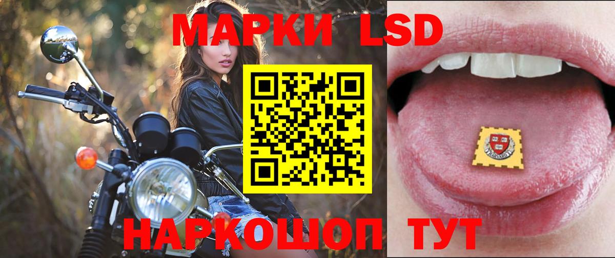 Саранск  ЛСД экстази кислота  ЛСД экстази ecstasy  Вход с VPN 