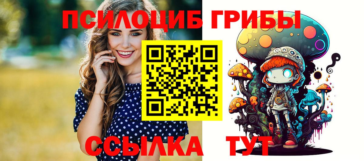 Галлюциногенные грибы прущие грибы  Вход с VPN  Саранск 