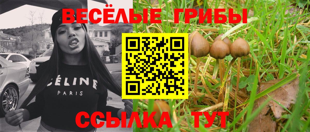 Галлюциногенные грибы GOLDEN TEACHER Саранск