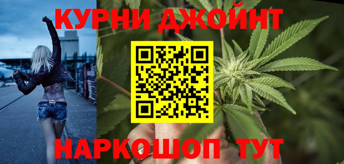 Конопля гибрид Саранск